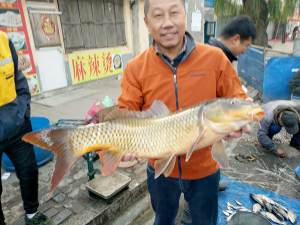 喜得純湖大活鯉魚